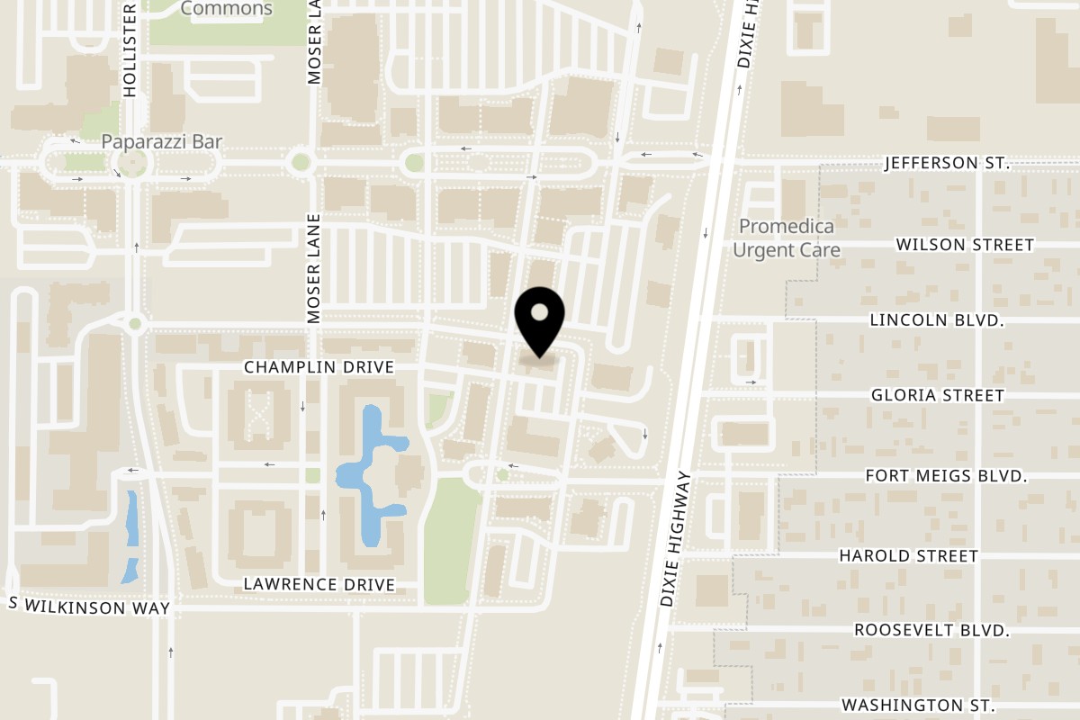 Map showing the location of Tea Tree Asian Bistro on 4100 Chappel Dr in Perrysburg